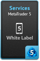 Services - MetaTrader 5